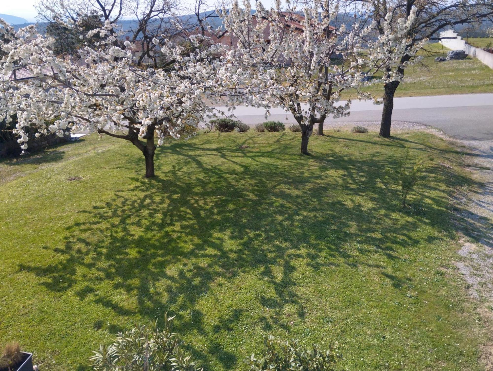 Apartamento Daal Roč Exterior foto