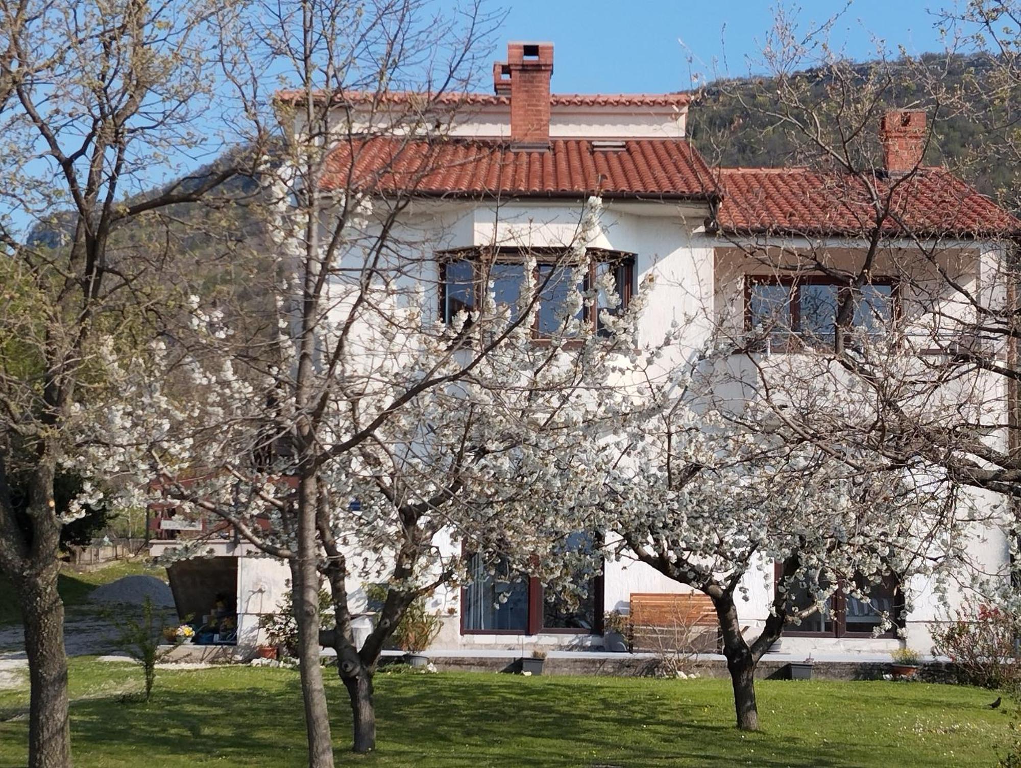 Apartamento Daal Roč Exterior foto